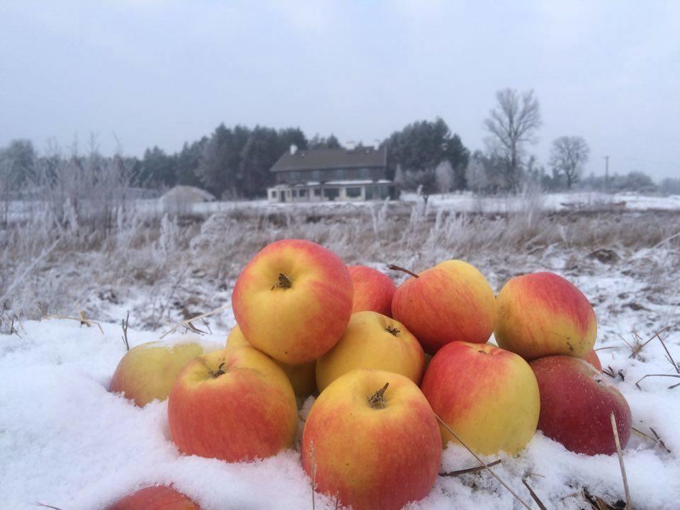 Chamedafne W Puszczy Kampinoskiej Brochów Extérieur photo