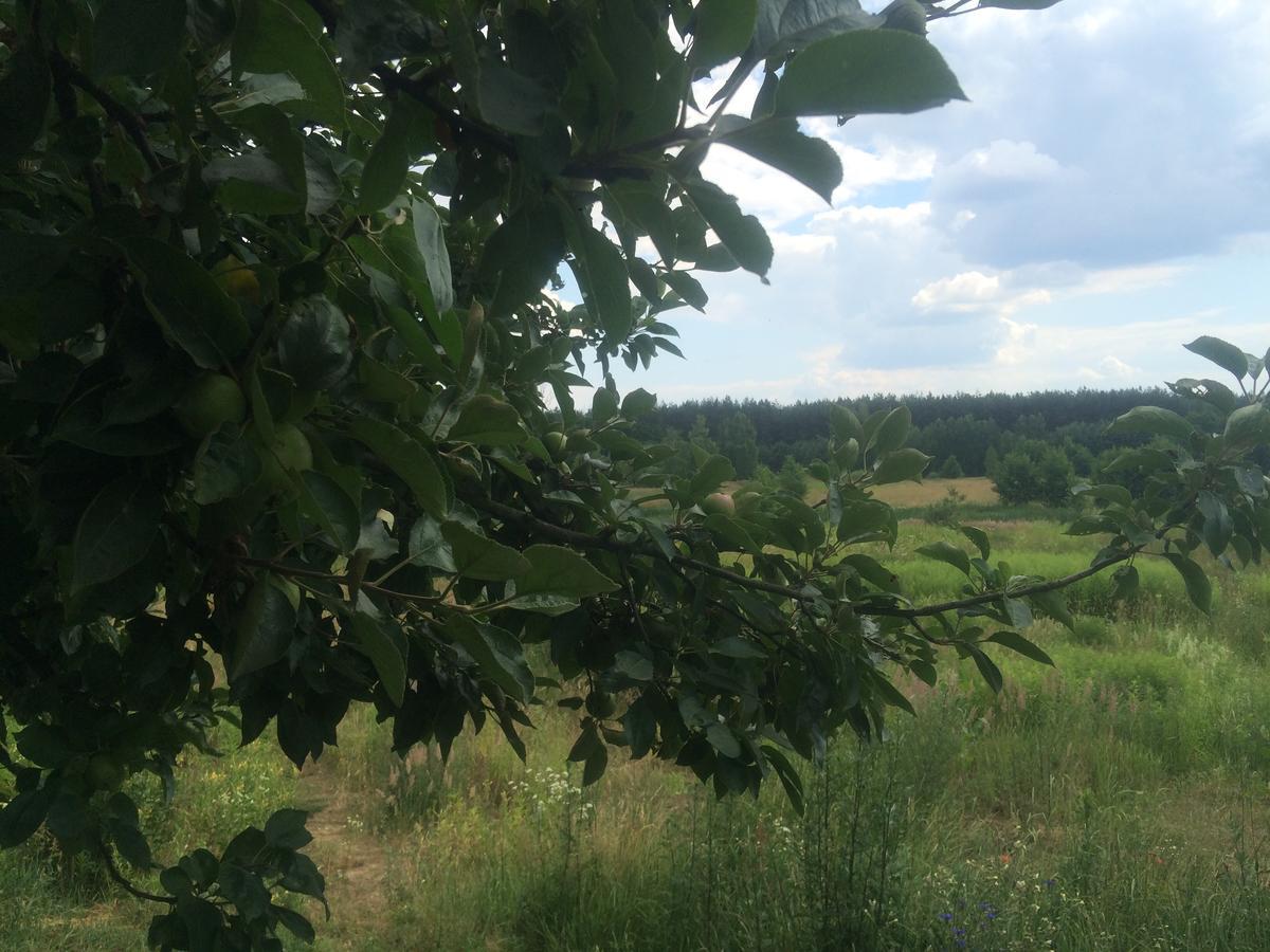 Chamedafne W Puszczy Kampinoskiej Brochów Extérieur photo