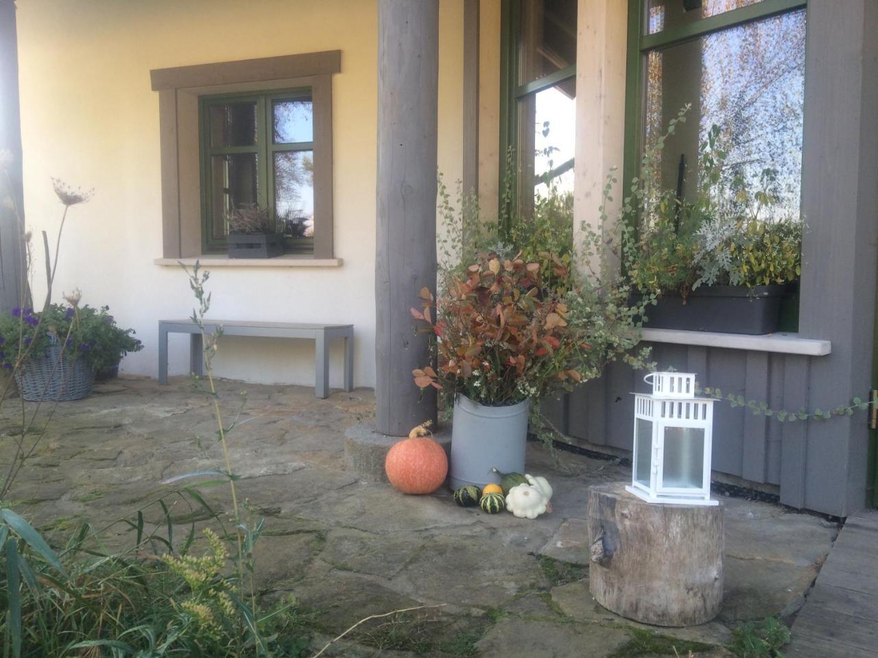 Chamedafne W Puszczy Kampinoskiej Brochów Extérieur photo
