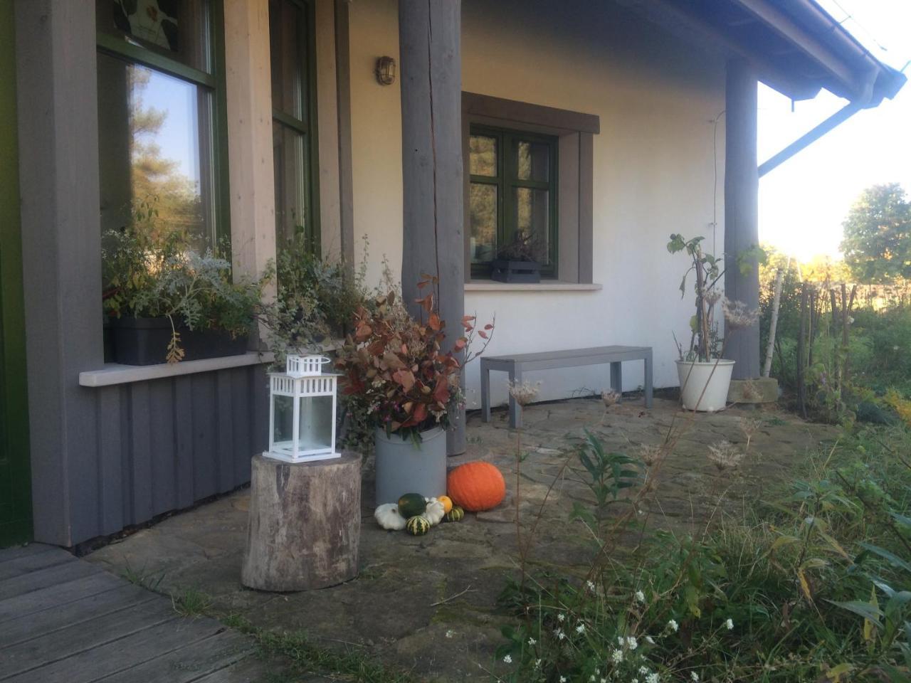 Chamedafne W Puszczy Kampinoskiej Brochów Extérieur photo