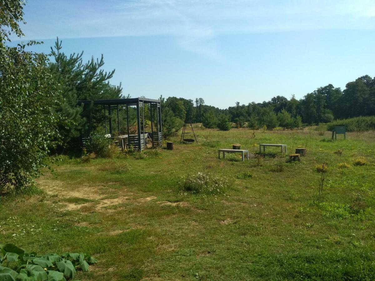 Chamedafne W Puszczy Kampinoskiej Brochów Extérieur photo